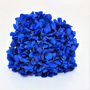 Preserved Hydrangea Blu 03