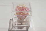 infinity roses, preserved roses, infinity box, luxury box, plexi glass, acrylic box, preserved flowers Cyprus